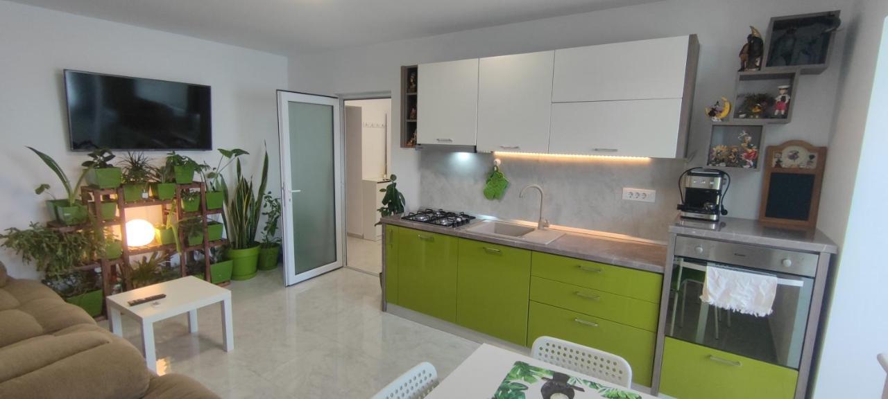 Abel Luxury Home Κονστάντζα Εξωτερικό φωτογραφία