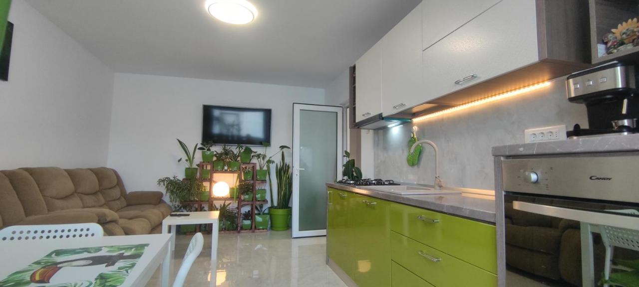 Abel Luxury Home Κονστάντζα Εξωτερικό φωτογραφία