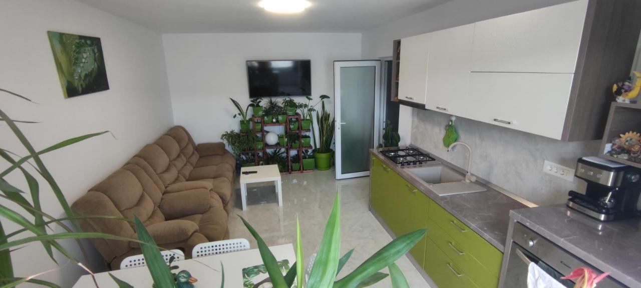 Abel Luxury Home Κονστάντζα Εξωτερικό φωτογραφία