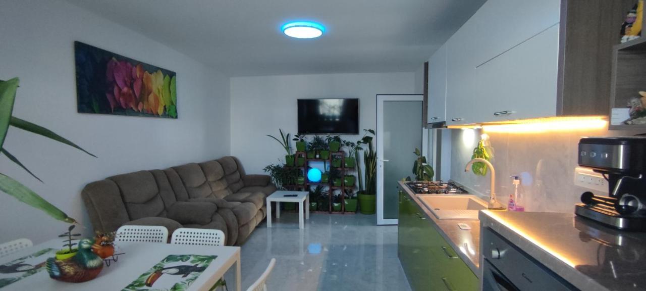 Abel Luxury Home Κονστάντζα Εξωτερικό φωτογραφία