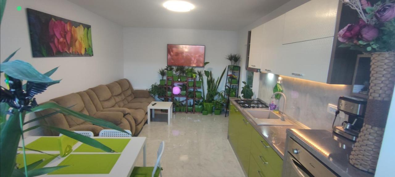 Abel Luxury Home Κονστάντζα Εξωτερικό φωτογραφία